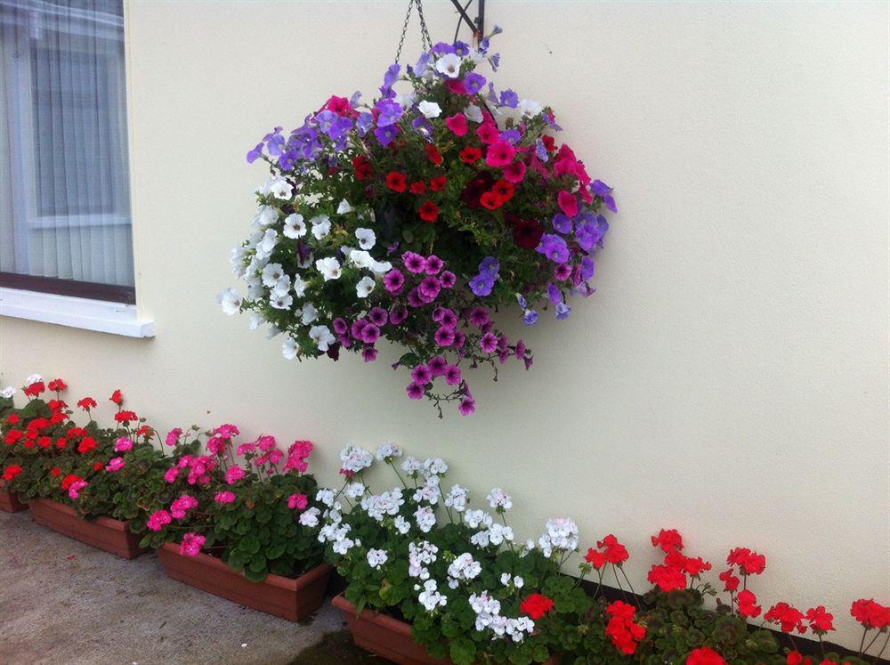 Hillview Self Catering Apartment Lusk Exterior foto