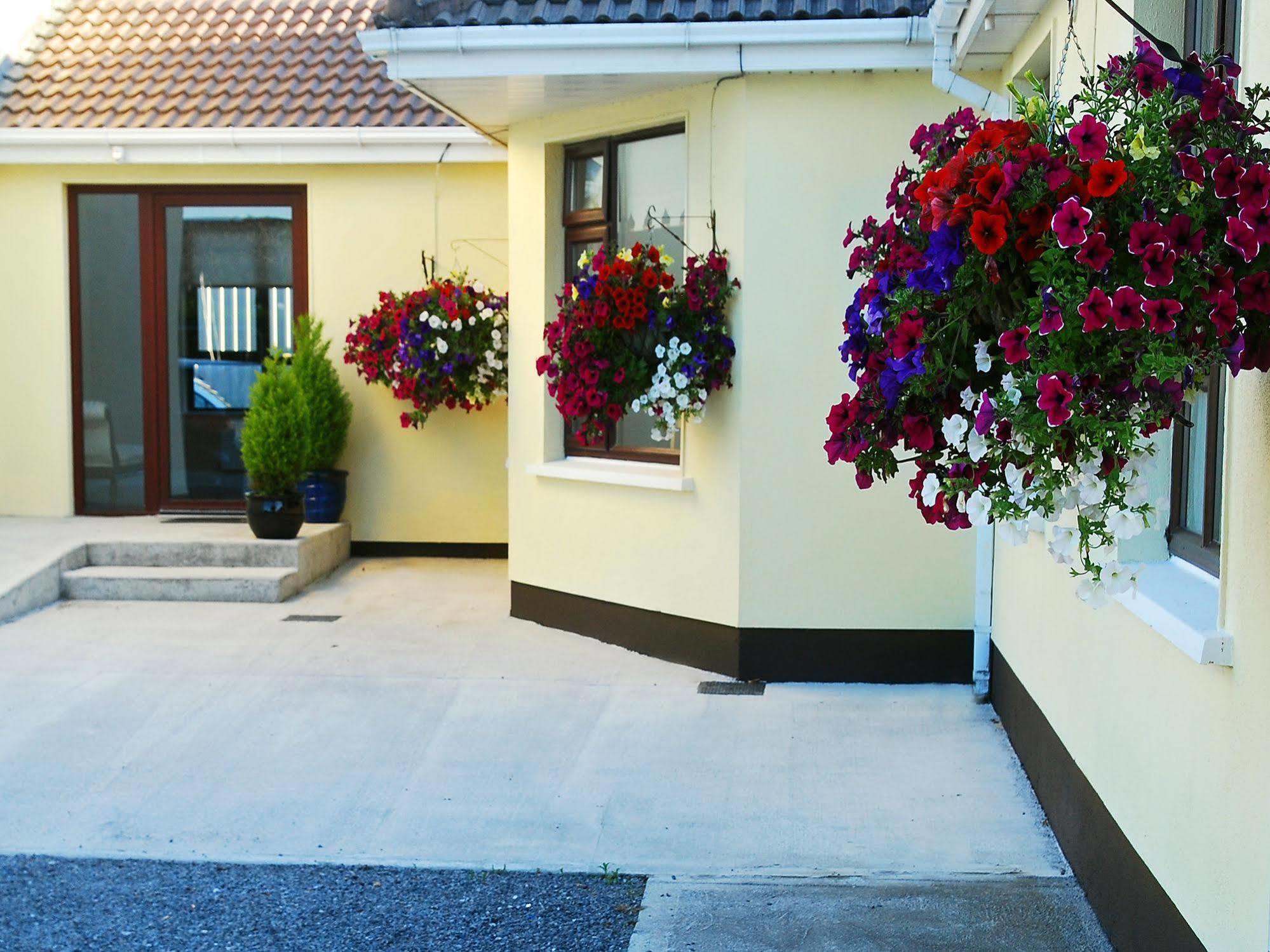 Hillview Self Catering Apartment Lusk Exterior foto